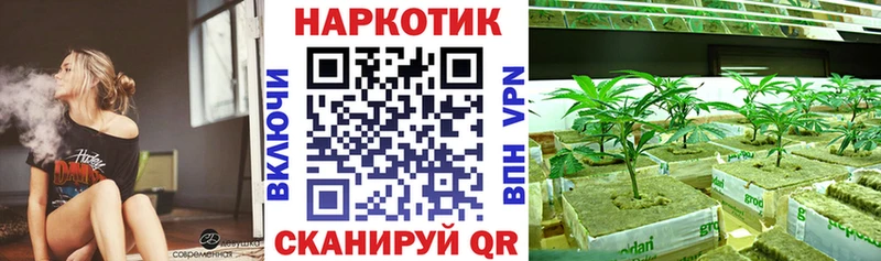 Магазины продажи наркотиков Грозный COCAIN  ОМГ ОМГ вход  МАРИХУАНА  Меф  СОЛЬ 