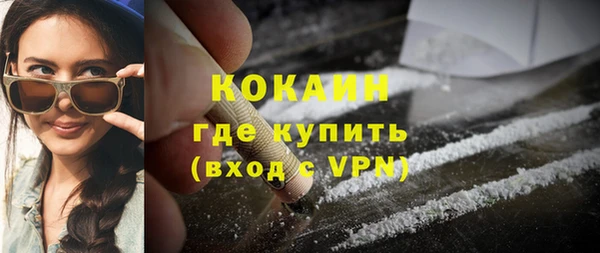 дмт Тавда