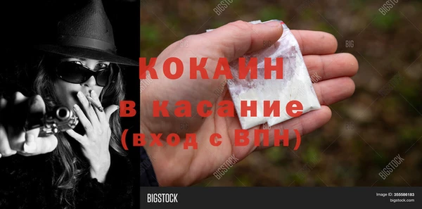 дмт Тавда