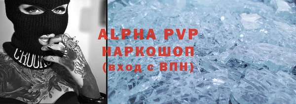 дмт Тавда