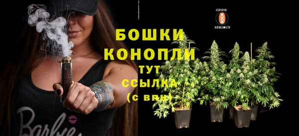 дмт Тавда