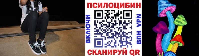 купить   Грозный  Галлюциногенные грибы GOLDEN TEACHER 