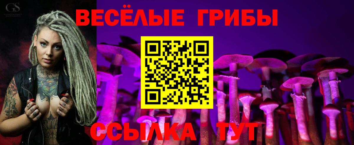 Псилоцибиновые грибы MAGIC MUSHROOMS Грозный