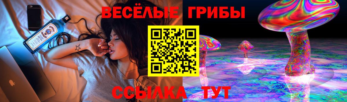 Псилоцибиновые грибы Cubensis  Галлюциногенные грибы Cubensis  закладка  Грозный 