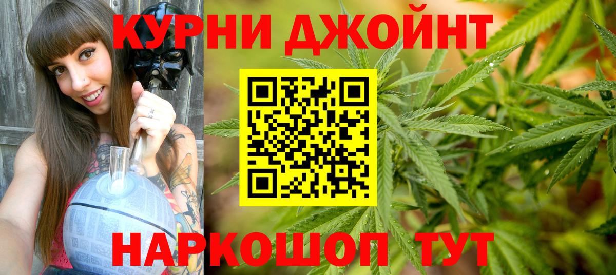 Бошки марихуана план  Вход с VPN  Марихуана Bruce Banner  Каннабис конопля  Грозный 